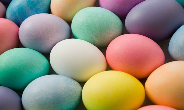 Where to buy the best Easter Eggs in Canberra