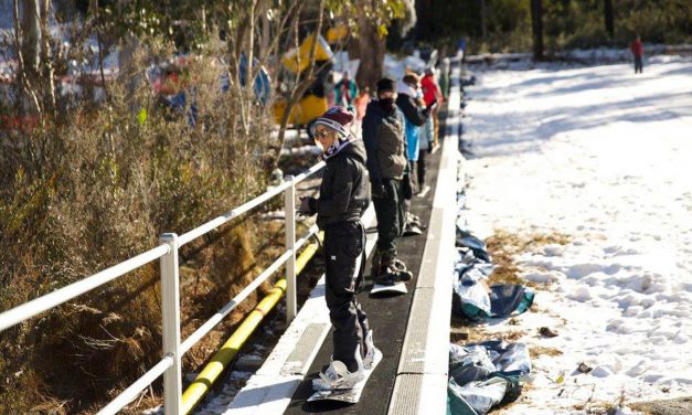 Skiers and boarders now welcome at Corin Forest