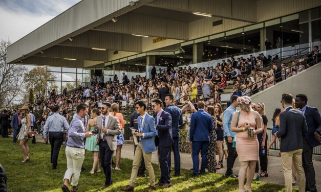 Melbourne Cup guide 2016