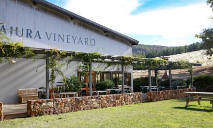 Experience harvest time at Mount Majura Vineyard