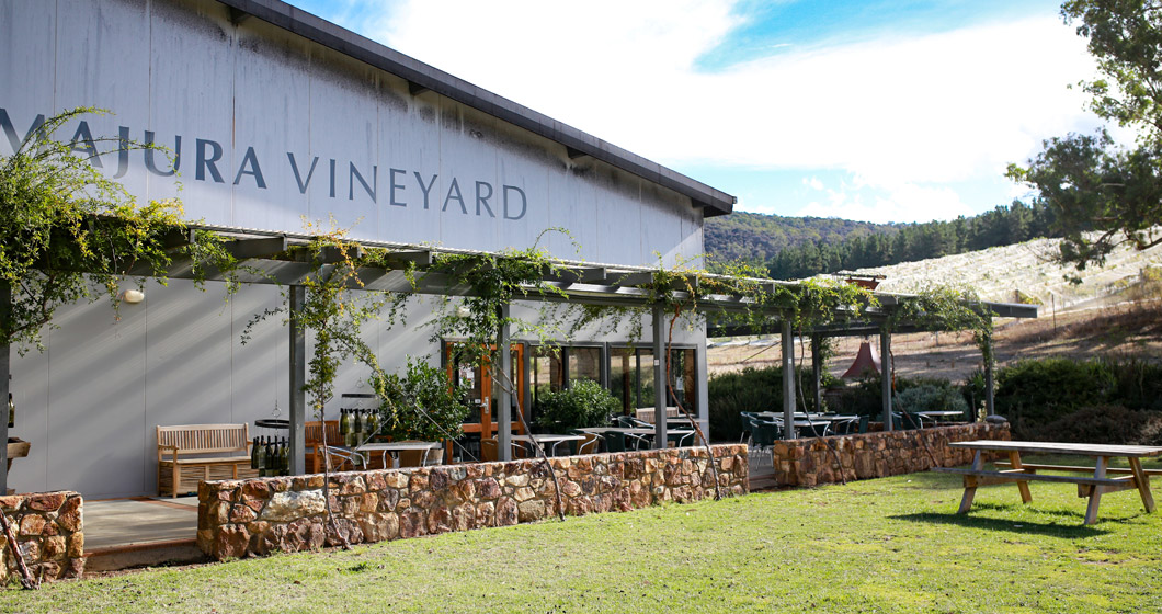 Experience harvest time at Mount Majura Vineyard