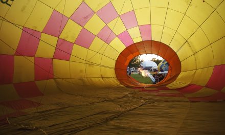 20 things to do this long weekend