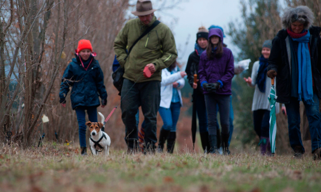 The 2017 Truffle Festival: The modern delicacy hunt