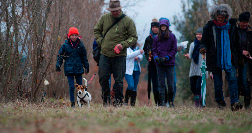 The 2017 Truffle Festival: The modern delicacy hunt