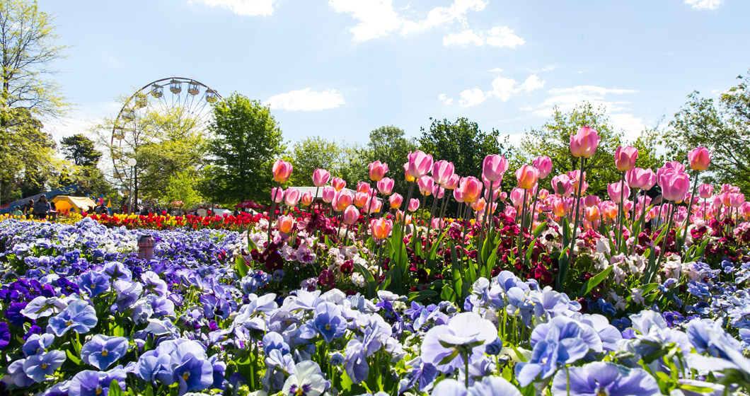 Floriade’s 30th birthday bash