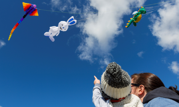 Magical beasts take to the skies over Googong