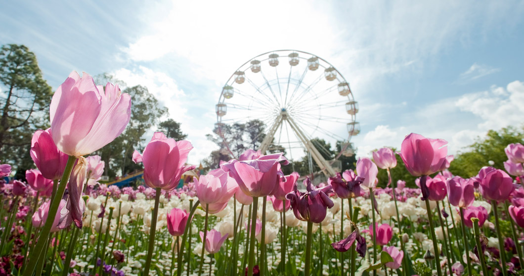 Insider’s guide to Floriade