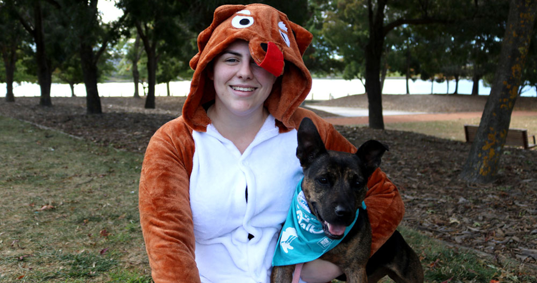 Doggo dress-up for Guinness Record