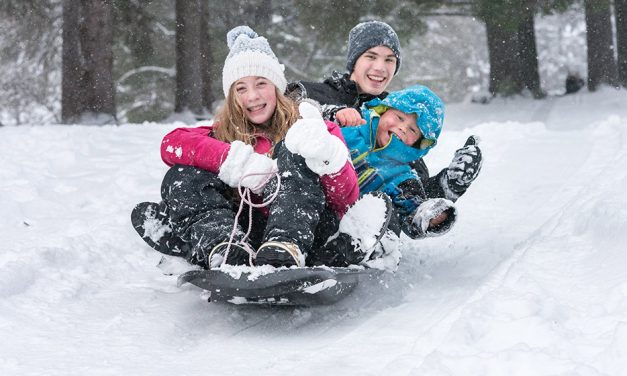 Toboggans banned at Thredbo