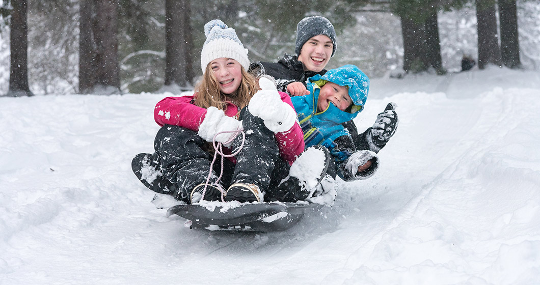 Toboggans banned at Thredbo