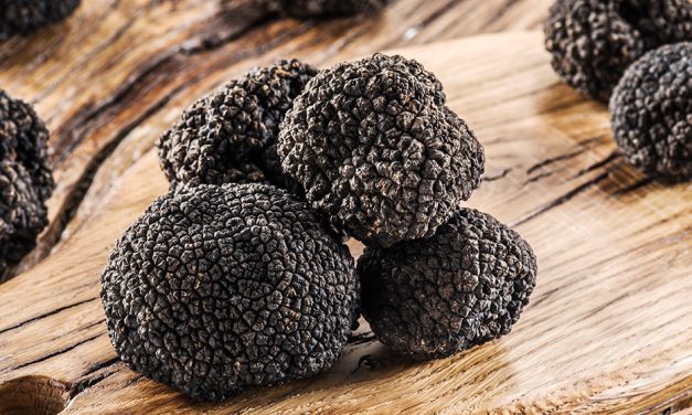 Idiot’s Guide to Black Winter Truffle Season