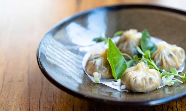 Vegan Dumpling crowned AKIBA’s People’s Choice