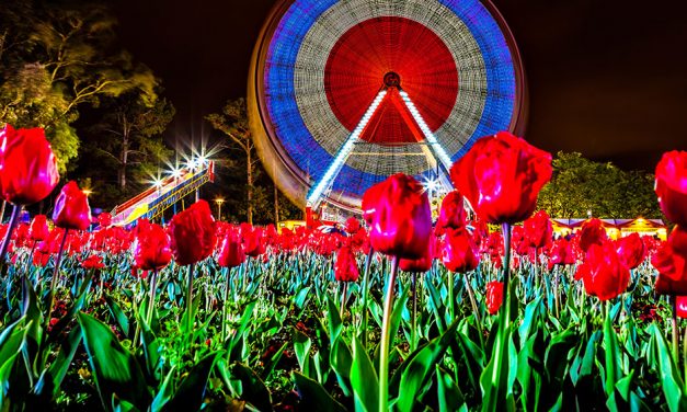 Floriade 2018 a trip down memory lane