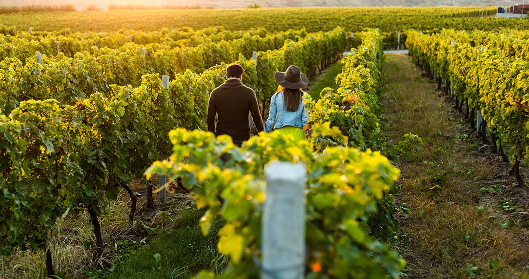 Canberra Winery Tours catering from corporate to couples