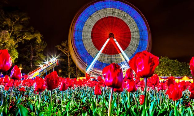 WIN a double pass to NightFest at Floriade!