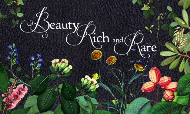 Review: Beauty Rich and Rare