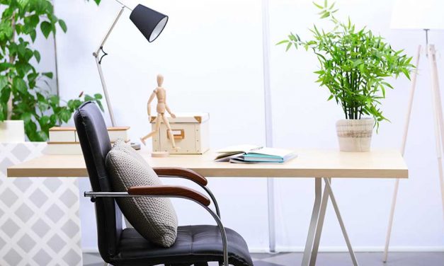 10 office plants that will stick around longer than a millennial