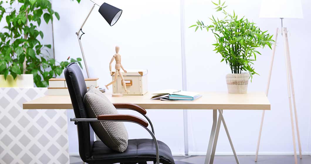 10 office plants that will stick around longer than a millennial