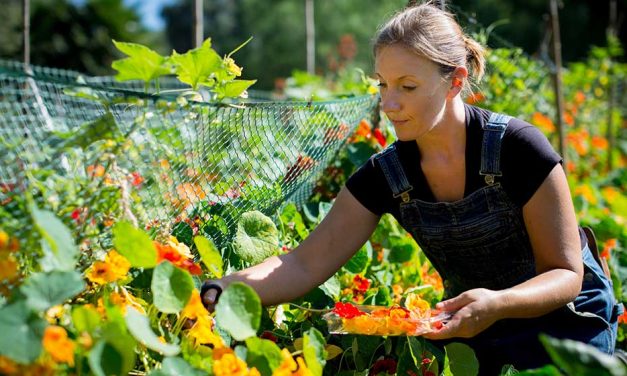 GIVEAWAY: The Biggest Little Farm doco