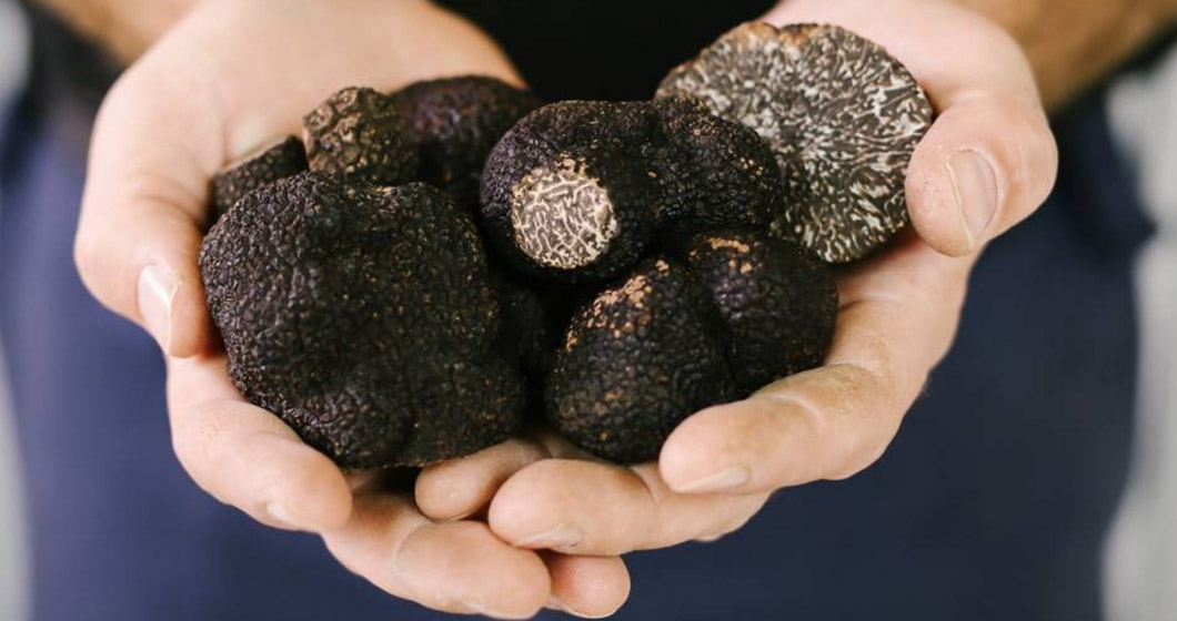 A truffle indulgence to remember with Contentious Character