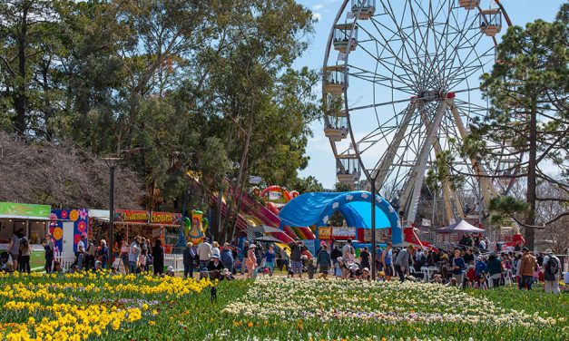 It’s about bloomin’ time – Floriade is here Canberra